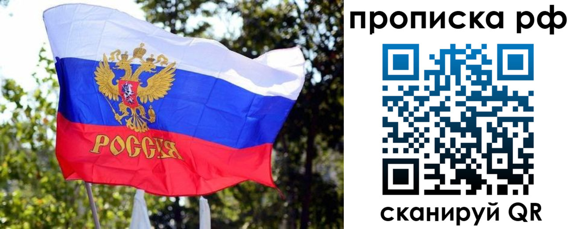 временная регистрация надежно в Полярном